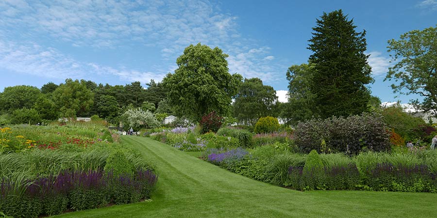 View of green well-maintained gardens with a lawn leading down to a bench, between two patches of tall bushes and flowers. Larger trees in the background. 